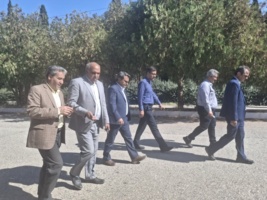 باید با سرعت به سمت خوداتکایی حرکت کنیم