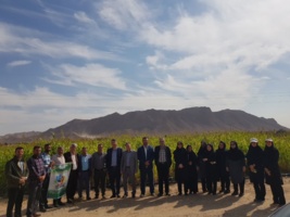 نهمین کاروان ترویج بهره‌وری ویژه الگوی کشت محصولات زراعی