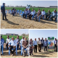 تطبیق کشاورزی یزد با رویکرد تغذیه تکمیلی و تغییر ارقام