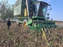 پهپادها و هورمون‌های برگ‌ریز، کلید توسعه کشت پنبه در مغان