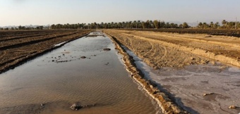 وبینار تخصصی مدیریت آبیاری گندم در شرایط خشکسالی