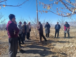برگزاری کارگاه تخصصی «تغذیه باغات و مدیریت سرمازدگی»