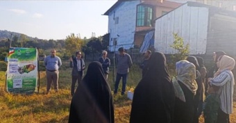 برگزاری کارگاه آموزشی و ترویجی روز انتقال یافته‌های تحقیقاتی با محوریت کنترل بیماری های مرکبات و مگس میوه مدیترانه ای