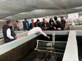 روز مزرعه تکثیر ماهی تیلاپیا در شرکت نیل‌آبزیست برگزار شد