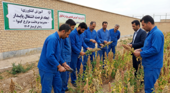 برگزاری دوره آموزشی تخصصی «مدیریت برداشت مزارع کینوا» ویژه زندانیان