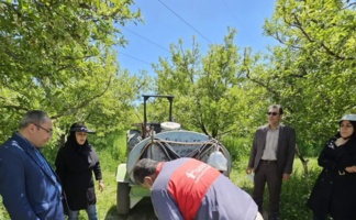 بررسی مقدماتی اثر ترکیب کودی در کاهش خسارت بیماری لکه سیاه سیب