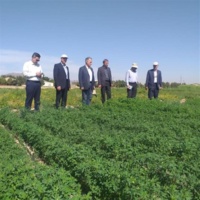 بازدید رئیس مؤسسه تحقیقات اصلاح و تهیه نهال و بذر از ایستگاه تحقیقات کشاورزی طرق مشهد