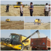 آزمون کمباین وارداتی نیوهلند در شرایط واقعی برداشت گندم خوزستان