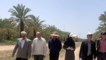 بازدید رئیس موسسه تحقیقات علوم باغبانی از ستاد پژوهشکده خرما و میوه های گرمسیری؛