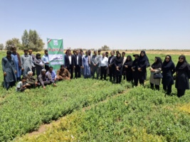 روز مزرعه استانی حنا در شهرستان رودبار جنوب
