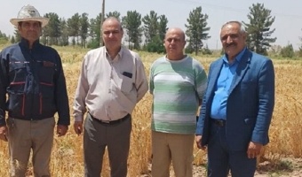 بازدید میدانی از ایستگاه تحقیقاتی شهید زنده‌روح و طرح‌های تکثیر بذور پرورشی گندم و جو