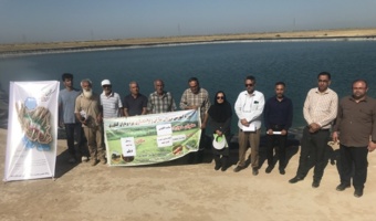 برگزاری کارگاه آموزشی-ترویجی زراعت کنجد در شهرستان دیلم