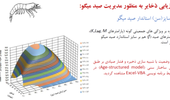 برگزاری دوره آموزشی «مدیریت ذخایر میگو در خلیج فارس» با تدریس  عضو هیأت علمی پژوهشکده اکولوژی خلیج فارس و دریای عمان