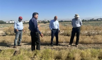 بازدید رئیس پژوهشکده کشاورزی هسته‌ای از پروژه مشترک به‌نژادی زیره سبز در مؤسسه تحقیقات اصلاح و تهیه نهال و بذر