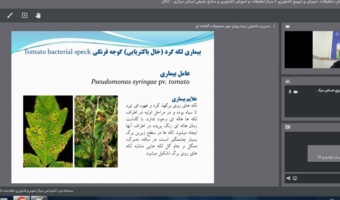 برگزاری وبینار آموزشی با عنوان مدیریت تلفیقی بیماری های خیار و گوجه فرنگی گلخانه ای
