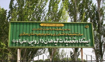 ایستگاه تحقیقات گیاهان دارویی استان مرکزی؛ میزبان بیش از ۷۰ گونه گیاه دارویی