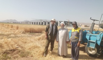 بازدید مسئول دفتر نمایندگی ولی‌فقیه در مرکز از آزمایش‌های به‌نژادی غلات و روند معرفی ارقام جدید گندم و جو