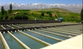 دو درصد شبکه ملی مزارع الگویی به شیلات اختصاص یافت