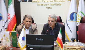 بررسی عوامل مؤثر بر بروز بیماری‌های میگو در نشست تخصصی بهداشت و بیماری‌های آبزیان