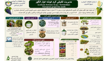 معرفی راهکارهای مدیریت تلفیقی برای کاهش خسارت کرم خوشه‌خوار انگور و کمک به تولید محصول سالم و پایدار