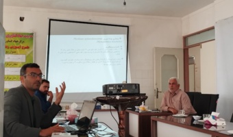 برگزاری دوره آموزشی کنترل آفات و بیماری‌های گلخانه‌ای در شاهرود هم‌زمان با هفته دولت