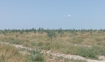 تجربه‌ای متفاوت از احیای اراضی ساحلی بندرگز با مشارکت بخش خصوصی