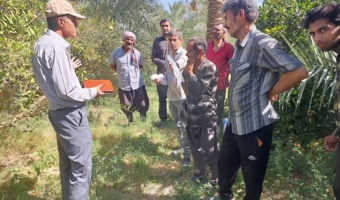 آموزش عملی مقابله با نماتد مرکبات در فهرج