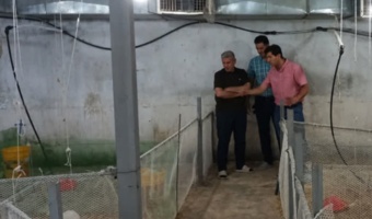 بازدید معاون پژوهش، فناوری و انتقال یافته‌های مؤسسه از زیرساخت‌های پژوهشی مرکز تحقیقات خراسان رضوی
