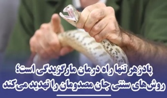 هشدار موسسه رازی درباره مارگزیدگی و عقرب‌زدگی؛ بر درمان های غیرعلمی تکیه نکنید