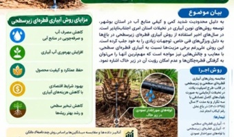 آبیاری قطره‌ای زیرسطحی در نخلستان