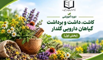 از کاشت تا برداشت؛ آموزش تخصصی گیاهان دارویی در مرکز آموزش عالی امام خمینی(ره)