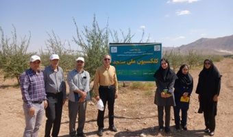 بازدید مسئولان مؤسسه ملی ژنتیک از کلکسیون‌های سنجد و انگور مرکز سمنان (شاهرود)