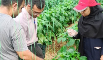 بازدید عضو هیئت‌علمی بخش گیاه‌پزشکی مرکز از مجتمع گلخانه‌ای دهملا