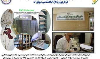 تنوع گیاهی کردستان؛ ظرفیتی راهبردی برای امنیت غذایی آینده