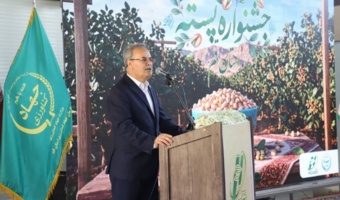 رقم جدید پسته «حسینی»؛ گامی تازه در توسعه باغ‌های پسته و افزایش بهره‌وری در استان قم
