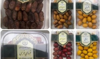 معرفی دستاوردهای پژوهشکده خرما در نمایشگاه تخصصی خرما