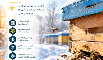 تأکید بر مدیریت کلنی و حفظ جمعیت زنبورها در فصل سرد