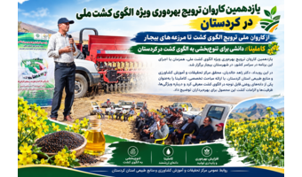 کاملینا در مسیر تنوع‌بخشی به الگوی کشت