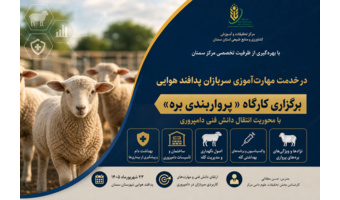 برگزاری کارگاه «پرواربندی بره» با محوریت انتقال دانش فنی دامپروری