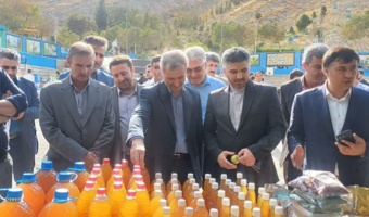 پنل تخصصی رویداد دانش‌بنیان سیب شیروان، امروز در محل هتل رضا شیروان برگزار شد