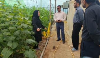 بازدید تخصصی رئیس بخش تحقیقات گیاه‌پزشکی مرکز تحقیقات کشاورزی استان کرمان از مجتمع گلخانه‌ای زرند