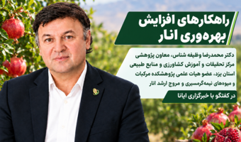 عضو هیات علمی پژوهشکده مرکبات و میوه‌های نیمه‌گرمسیری در گفتگو با خبرگزاری ایانا بمناسبت روز ملی انار