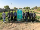 برداشت موفقیت‌آمیز پروژه آموزش همراه با تولید لوبیاچشم‌بلبلی در تابستان ۱۴۰۴