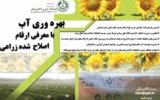 فصلنامه خبری الکترونیکی موسسه تحقیقات اصلاح و تهیه نهال و بذر منتشر شد
