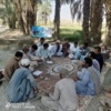 دوره آموزشی &quot;ادوات برداشت مکانیزه برنج&quot;