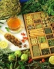 دوره تخصصی «فرصت‌های سرمایه‌گذاری در صنعت گیاهان دارویی»