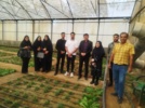 بازدید دانشجویان دانشگاه اردکان از کلکسیون ذخائر توارثی انار کشور در یزد