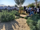 بازدید دانش‌آموزان از باغ گیاهشناسی زاگرس خرم‌آباد