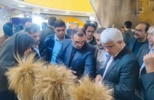 حضور مرکز تحقیقات کشاورزی گلستان در بیستوششمین نمایشگاه دستاوردهای پژوهش و فناوری