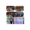 کارگاه مشاوره و هدایت شغلی با محوریت کارآفرینی در دانشگاه ایلام برگزار شد